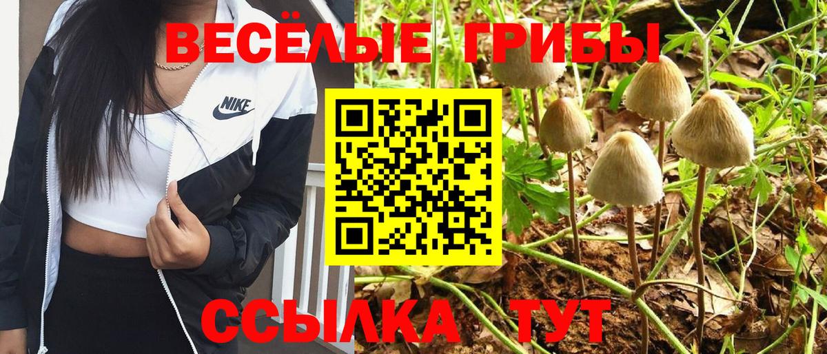 Псилоцибиновые грибы MAGIC MUSHROOMS  Псилоцибиновые грибы Magic Shrooms  Вход с VPN  Соликамск 